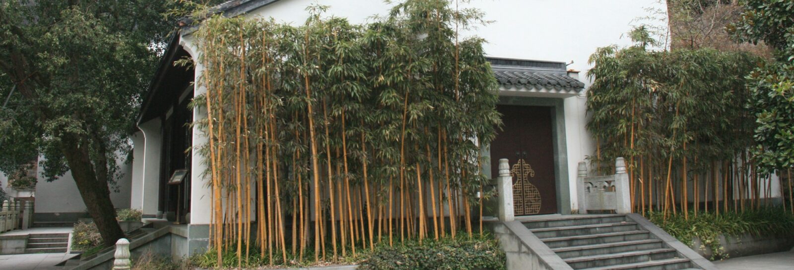 Bambou classé par nom